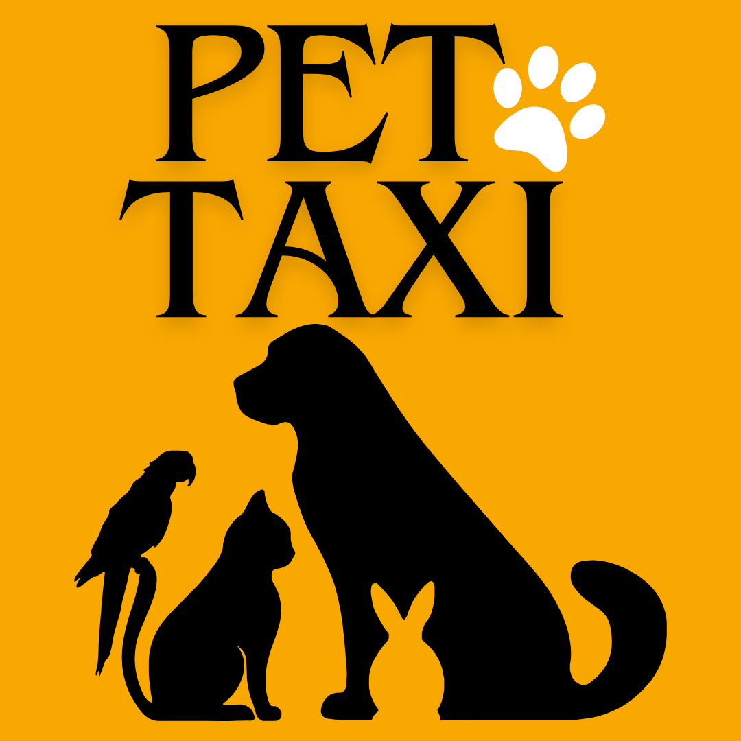 E assim começou o Pet Taxi